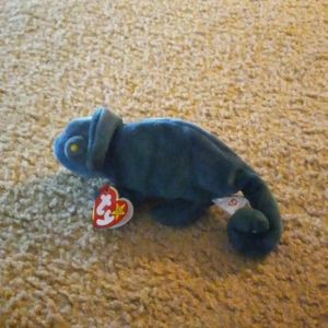 Rainbow the chameleon